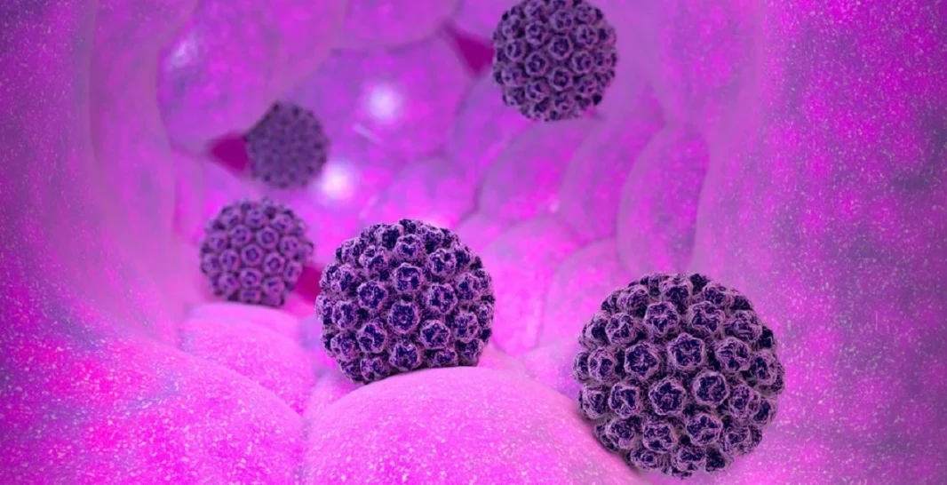 مانا دارو پارت-HPV یا پاپیلوما ویروس انسانی