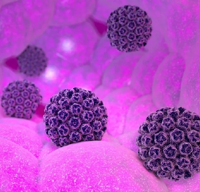مانا دارو پارت-HPV یا پاپیلوما ویروس انسانی